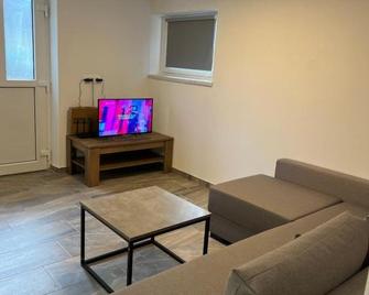 Apartma Rocica - Kobarid - Obývací pokoj