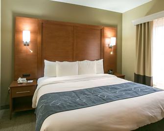 Comfort Suites Austin Nw Lakeline - Austin - Bedroom
