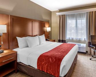 Comfort Suites Fort Collins Near University - Fort Collins - Yatak Odası