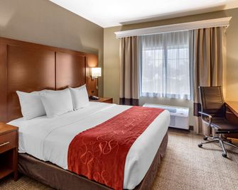 Comfort Suites Fort Collins Near University - Fort Collins - Soverom