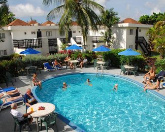 棕櫚樹俱樂部酒店 - 羅克利 - 基督教堂市 - 游泳池