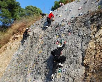 Hotel De Park - Shimla