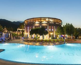 Mouzaki Palace Hotel & Spa - Mouzaki - Pool
