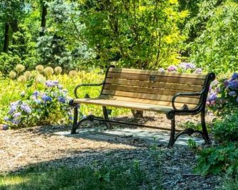 Charming and Luxurious Vacation Rental set on a Farm in Wakefield, South Island - Wakefield - Patio