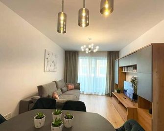 Chic Residence w parking - 布拉索夫 - 客廳