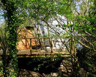 Fernwood - Clifden - Patio