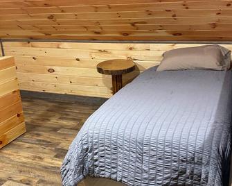 Cozy cabin with WiFi and AC in charming Hornell. Riding distance to Tall Pines! - Hornell - Bedroom