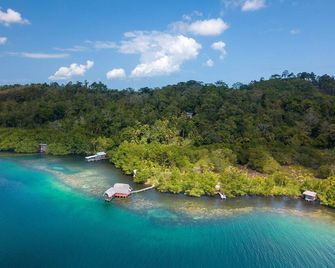 Waterfront Dolphin Pod - Bocas' best snorkeling! - Isla Bastimentos