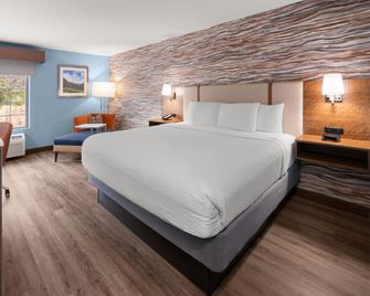 La Quinta Inn & Suites by Wyndham Ruidoso Downs - Ruidoso Downs - Schlafzimmer