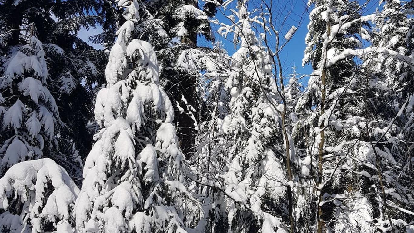 Hotel Restaurant Kniebishöhe