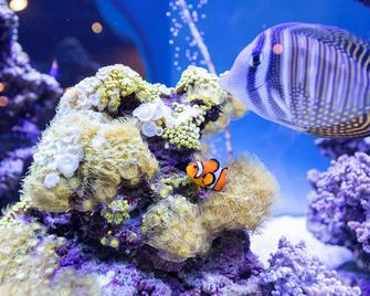 Hotel Nautilus - Putbus