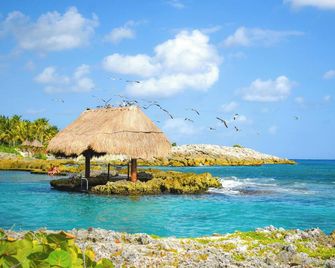Anand Ecoaldea - Puerto Morelos