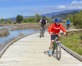 Tasman Bay Backpackers - Nelson