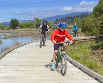 Tasman Bay Backpackers - Nelson