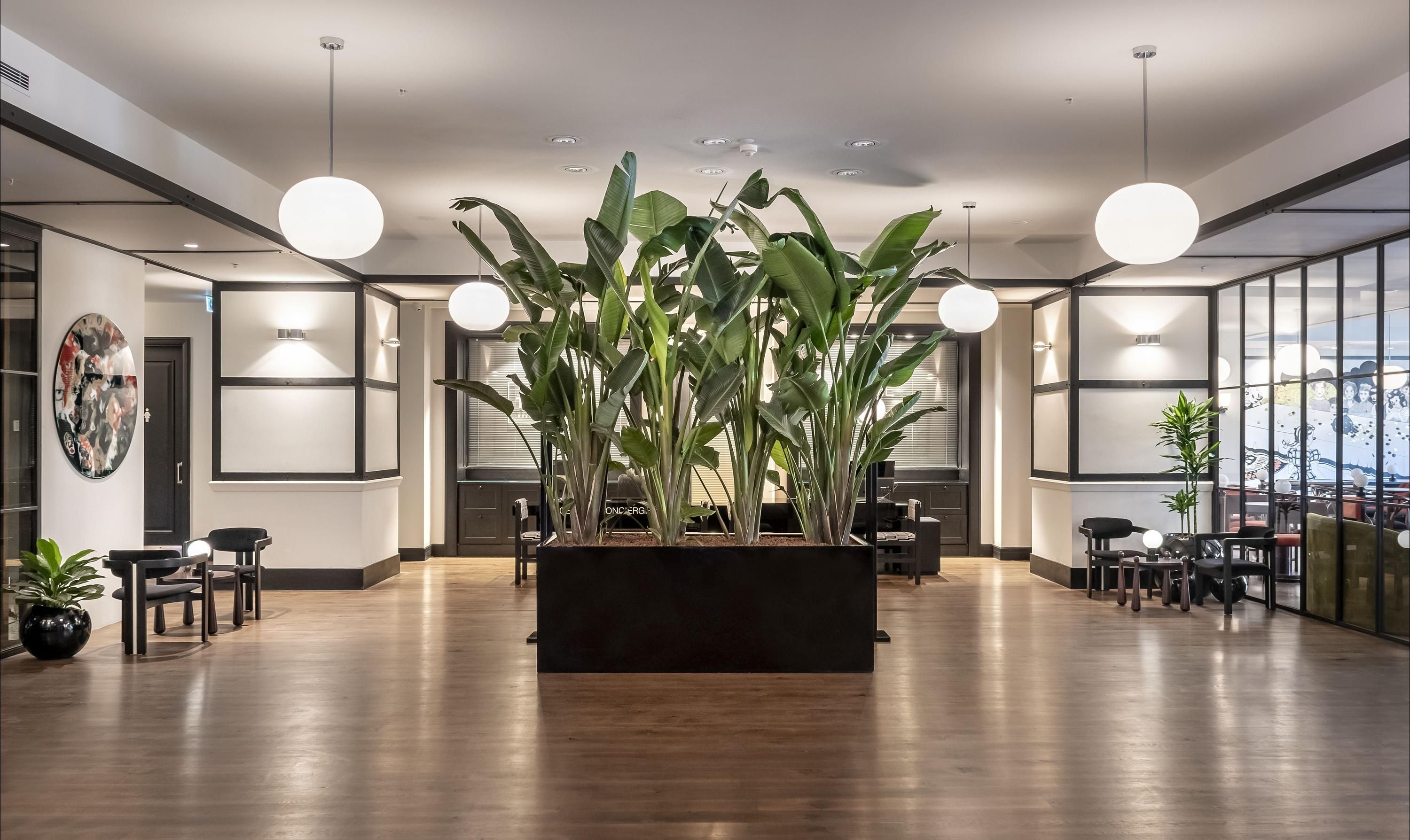 فنادق وإقامات صوفا