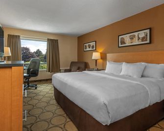 كومفرت إن وست إدمونتون - ادمونتون - غرفة نوم