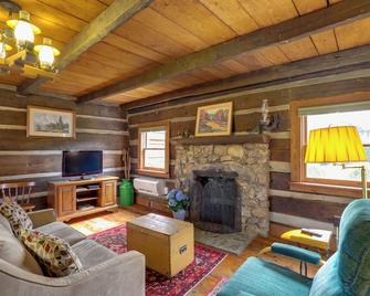 Scenic Hot Springs Retreat Near Appalachian Trail! - Hot Springs - Sala de estar