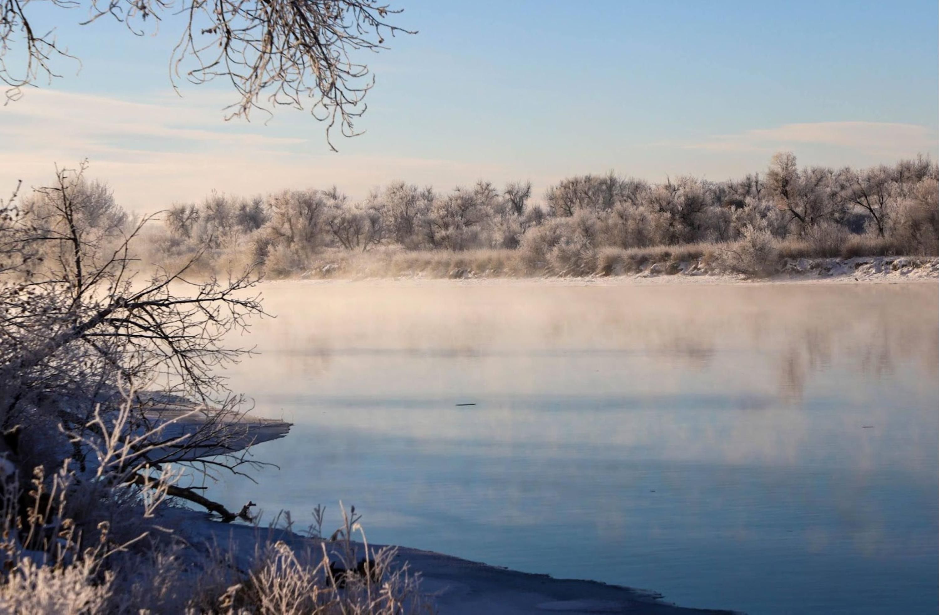 Staybridge Suites Great Falls By IHG - גרייט פולס - בריכה