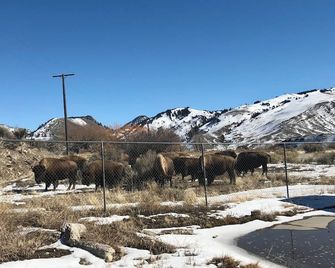 Wild View Cabin - Gardiner