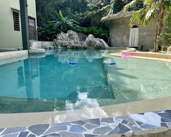 هوخما هيارت هوتل - بويرتو موريلو - حوض السباحة