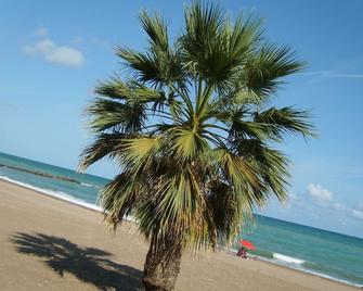 Camping Florida - Benicàssim - Beach
