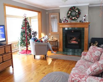 Le chalet à Saint Adolph D'Howard - Saint-Adolphe-d'Howard - Salon