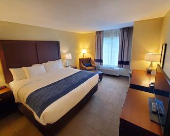 Comfort Inn and Suites Munising-Lakefront - Munising - Bedroom