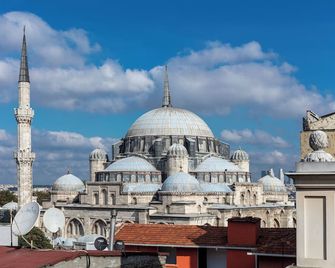 Danis Hotel & Spa Istanbul - Old City - Istanbul