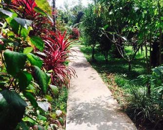 Khao Sok Green Mountain View - Khlong Sok - Outdoor view