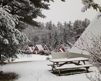 Large, well-appointed, Ground Level Apartment with lots of light ,sleeps 6 - Campton - Patio