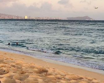Awesome Beach Yard! Click 'Contact Us' button to discuss your Dates & Pricing. - Ewa Beach - Strand