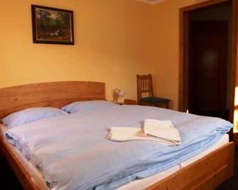 Penzion U Studeného potoka - Nove Hute - Habitación