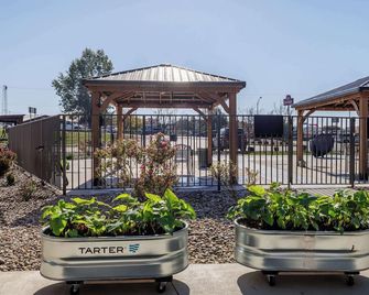 Motel 6 Elizabethtown Ky - Elizabethtown - Tesis olanığı