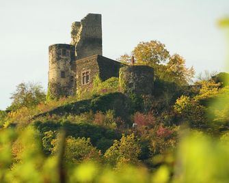 Hotel-Restaurant-Weingut Kapellenhof - Klotten
