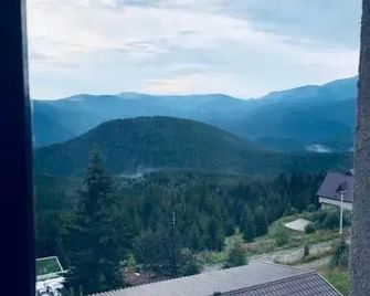 Pensiunea Casa Ancutei - Rânca - Balcone