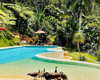 Mont Carpe Diem - Guaynabo - Piscina