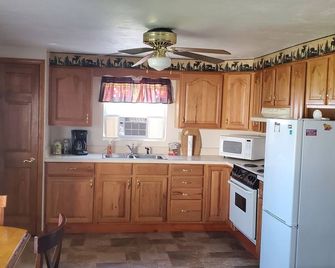 Beautiful Northern Michigan Cabin - Gaylord - Kitchen