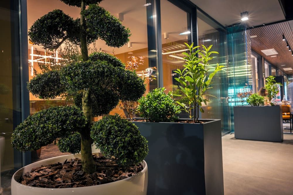 One Hotel - Alba Iulia - Lobby