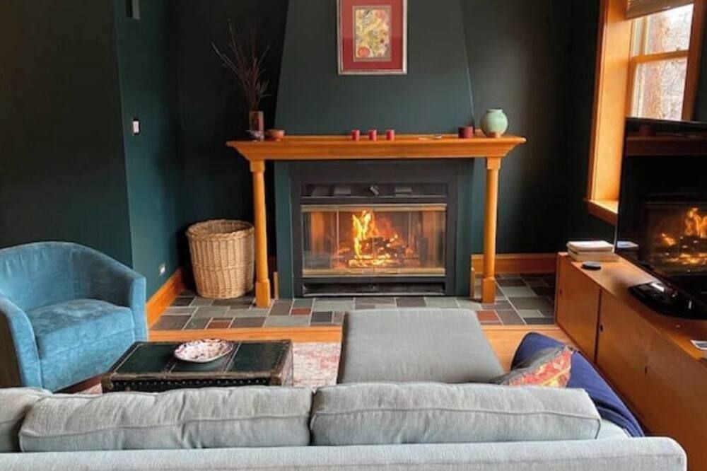 The Logan Square Guest House - Classic Vintage Comfort With Free Parking! - שיקאגו - סלון