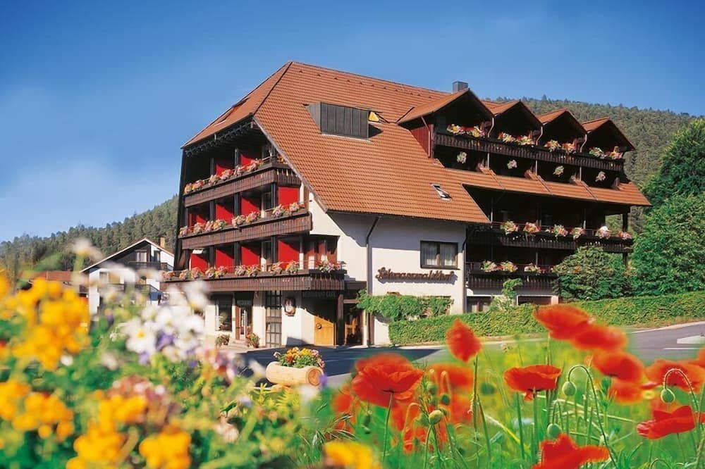 Schwarzwaldhof - Enzklösterle - Gebäude