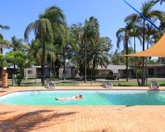 Glenwood Tourist Park & Motel - Grafton - Pool