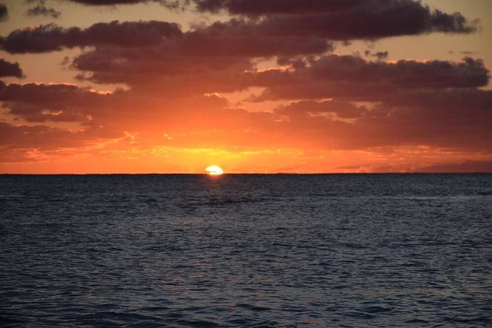 Beautiful 3 BR Oceanview Townhouse in Bimini Cove! - Port Royal - חוף