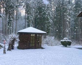 Charming Tyrolean country house with a garden - Oberndorf in Tirol