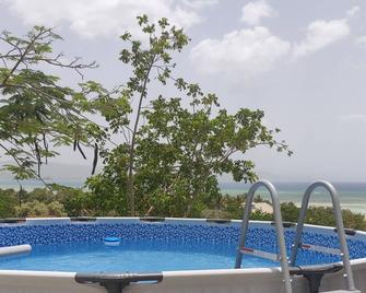 The best beachfront view - Villa Isabela - Pool