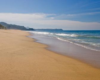El Nido De La Tortuga -- A Poolside, Cozy Casita Nestled Into The Hillside - San Francisco - Beach