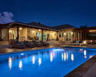 5 Star Oceanfront Villa W/Pool, Secluded Beach, Ocean Access & Ocean Edge Palapa - Sint Nicolaas - Pool
