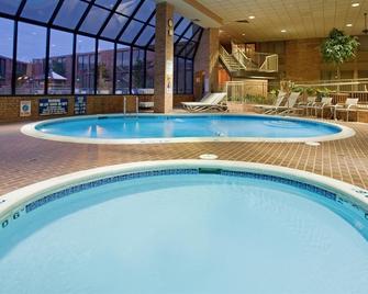 Holiday Inn St Louis South I-55 - Mehlville - Piscina
