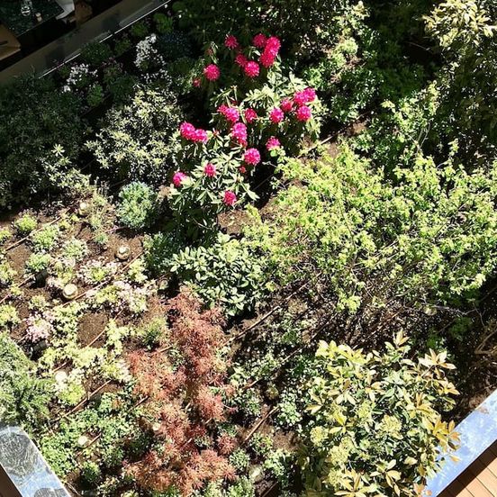 Outdoors view view of Hotel Parister & Spa