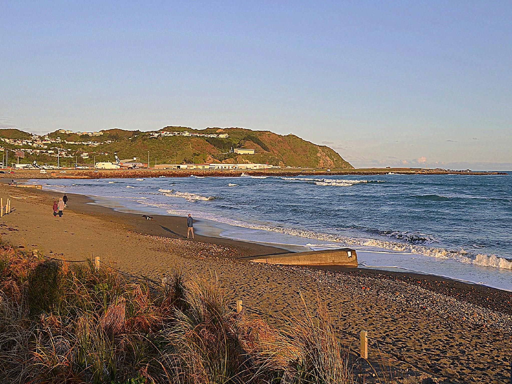 Airport Motel Wellington - Wellington - Strand