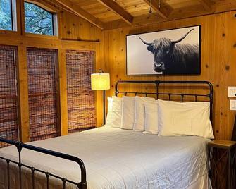 Stargazer Chalet, Two Bedroom Cabin with Wifi - Three Rivers - Sypialnia